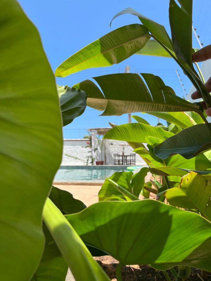 Casa Palma São Miguel do Gostoso Exterior foto